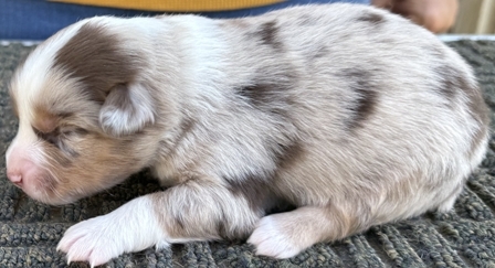 IMG_6208_00