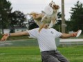 mini aussies fly