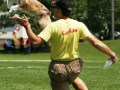 mini aussies fly